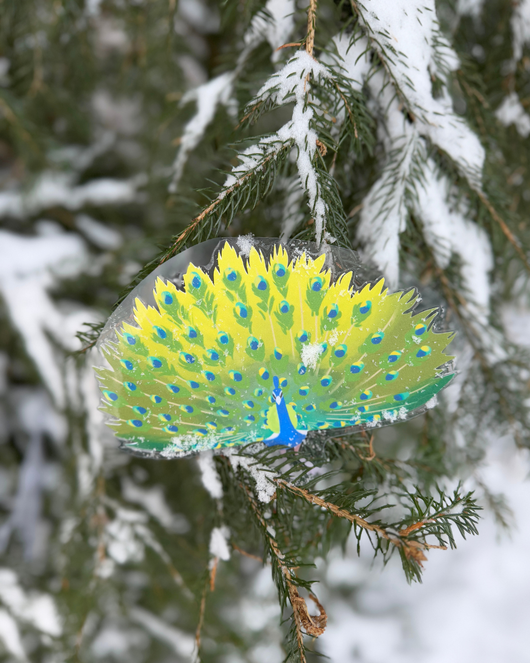 Lintulorut osa 1 (talvilintujen pihabongausta vietetään 24.–25.1.2026!)