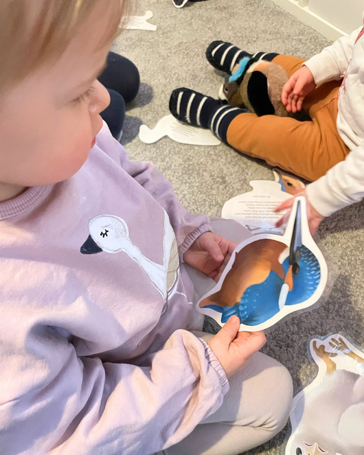 Lintulorut osa 1 (talvilintujen pihabongausta vietetään 24.–25.1.2026!)