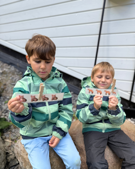 Taika-arkku aamupiireihin (12 tuotetta)