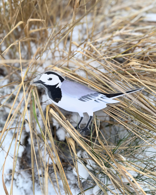 Lintulorut osa 2 (talvilintujen pihabongausta vietetään 24.–25.1.2026!)