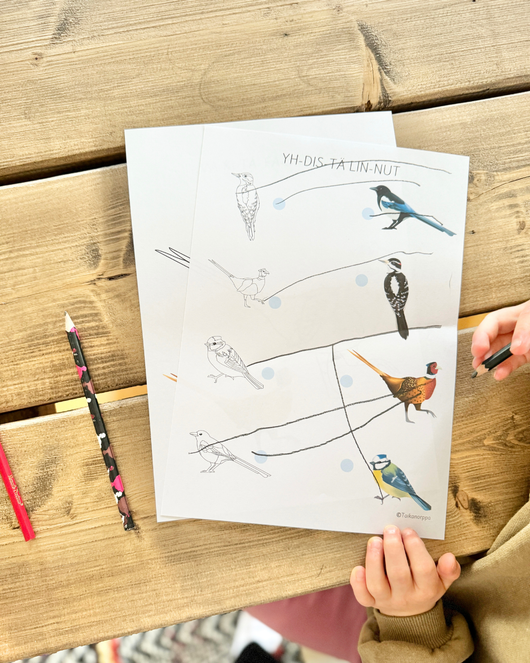 Materiaalia talvilintujen parissa (lasten pihabongaus 24.–25.1.2026)