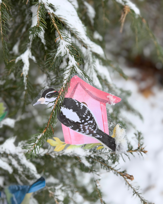 Lintulorut osa 1 (talvilintujen pihabongausta vietetään 24.–25.1.2026!)