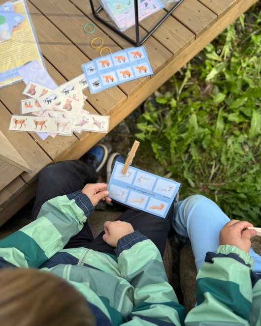 Taika-arkku aamupiireihin (12 tuotetta)