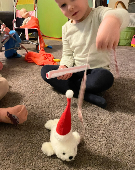 Jouluisia satuhierontoja - Saimaannorpan matkassa