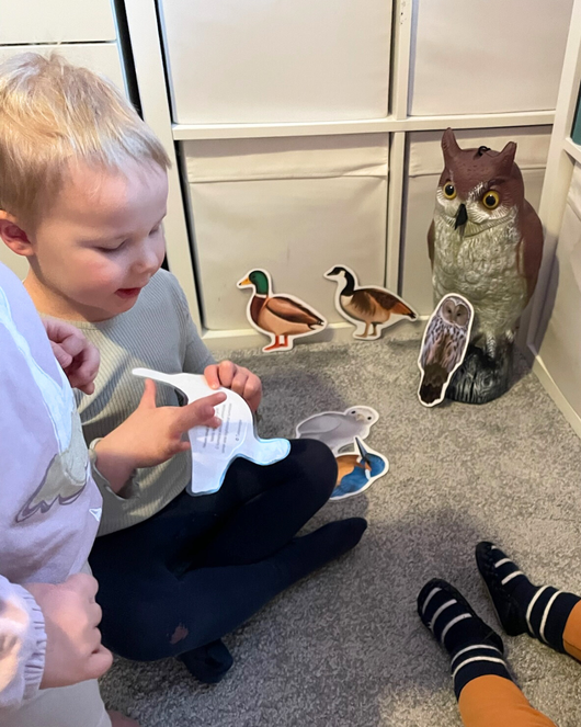 Lintulorut osa 1 (talvilintujen pihabongausta vietetään 24.–25.1.2026!)