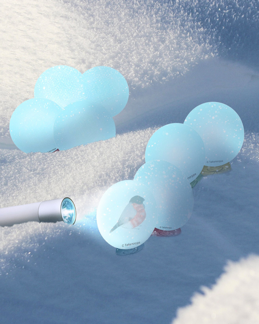 Tutkitaan lumisadepalloja (LTJP)