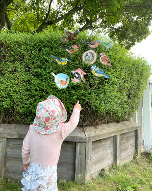 Lintulorut osa 1 (talvilintujen pihabongausta vietetään 24.–25.1.2026!)