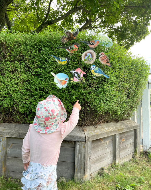 Lintulorut osa 1 (talvilintujen pihabongausta vietetään 24.–25.1.2026!)