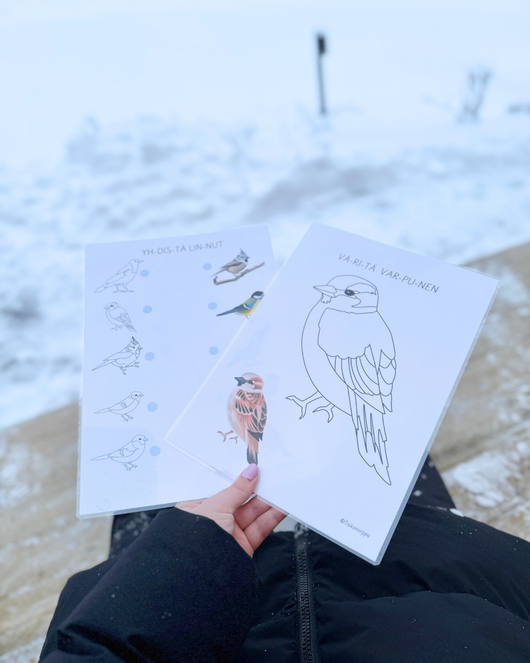 Materiaalia talvilintujen parissa (lasten pihabongaus 24.–25.1.2026)