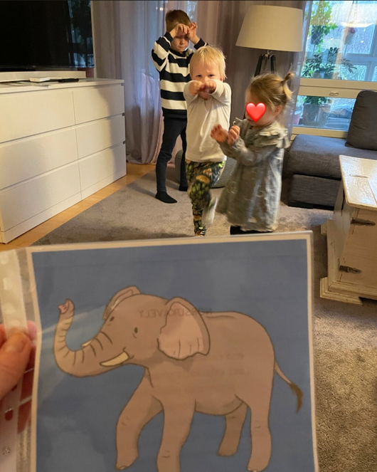 Eläinliikuntakortit