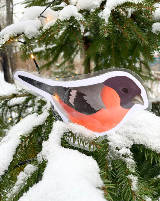 Lintulorut osa 1 (talvilintujen pihabongausta vietetään 24.–25.1.2026!)