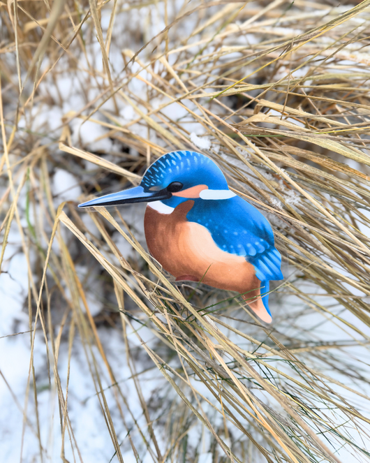 Lintulorut osa 2 (talvilintujen pihabongausta vietetään 24.–25.1.2026!)