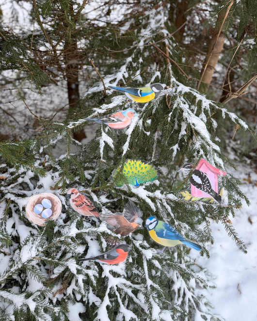 Lintulorut osa 1 (talvilintujen pihabongausta vietetään 24.–25.1.2026!)