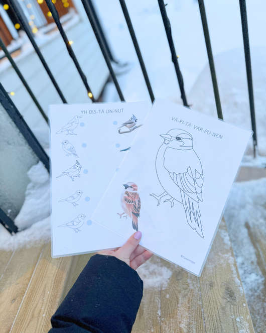 Materiaalia talvilintujen parissa (lasten pihabongaus 24.–25.1.2026)