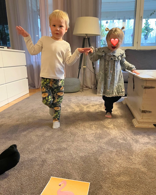 Eläinliikuntakortit