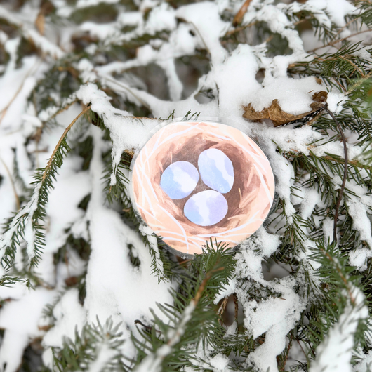 Lintulorut osa 1 (lasten lintuviikkoa vietetään 12.–18.5.2025!)