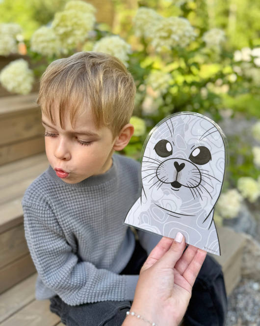 Suujumppakortit norpan kanssa 