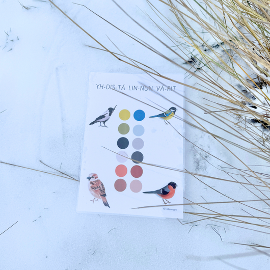 Materiaalia talvilintujen parissa (lasten pihabongaus 25.–26.1.2025)