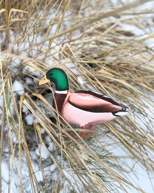 Lintulorut osa 2 (talvilintujen pihabongausta vietetään 24.–25.1.2026!)