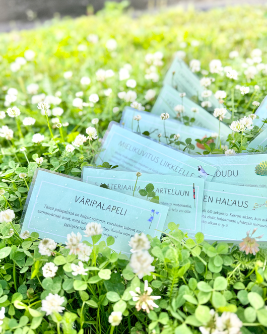 27 metsätehtävää lasten kanssa