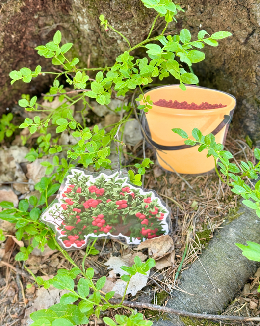 Metsälorut (sienilorut, marjalorut, sienestys, marjastus)