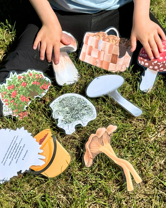 Metsälorut (sienilorut, marjalorut, sienestys, marjastus)