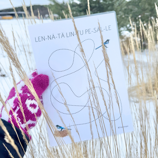 Materiaalia talvilintujen parissa (lasten pihabongaus 25.–26.1.2025)