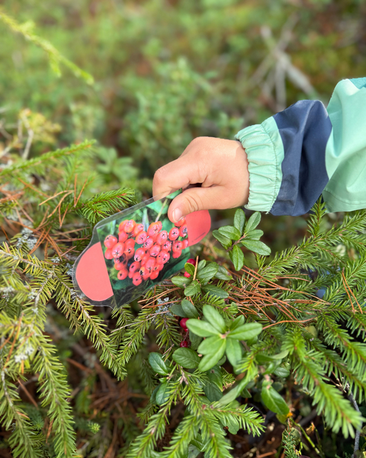 Väriliuskat luonnossa