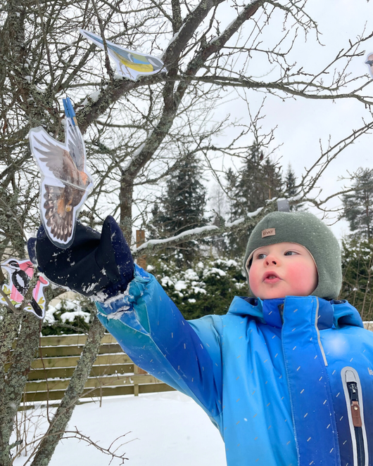 Lintulorut osa 1 (talvilintujen pihabongausta vietetään 24.–25.1.2026!)