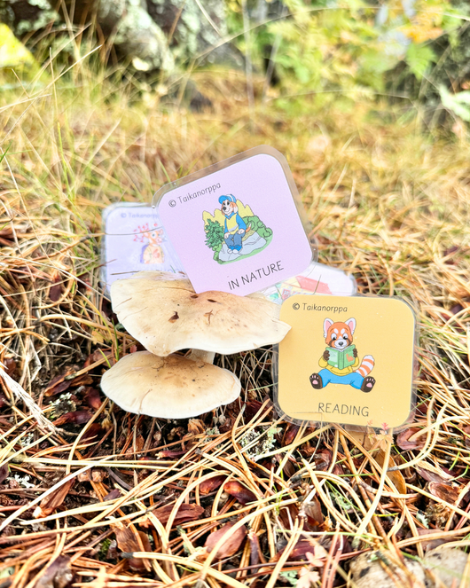 Daily schedule cards for home or day care