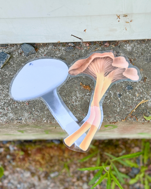 Metsälorut (sienilorut, marjalorut, sienestys, marjastus)