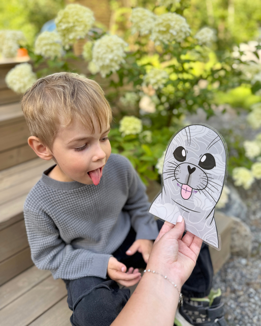 Suujumppakortit norpan kanssa 