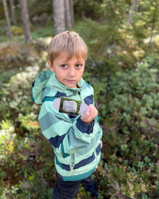 Väriliuskat luonnossa