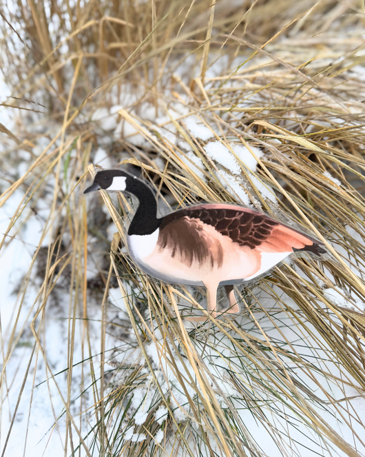 Lintulorut osa 2 (talvilintujen pihabongausta vietetään 24.–25.1.2026!)