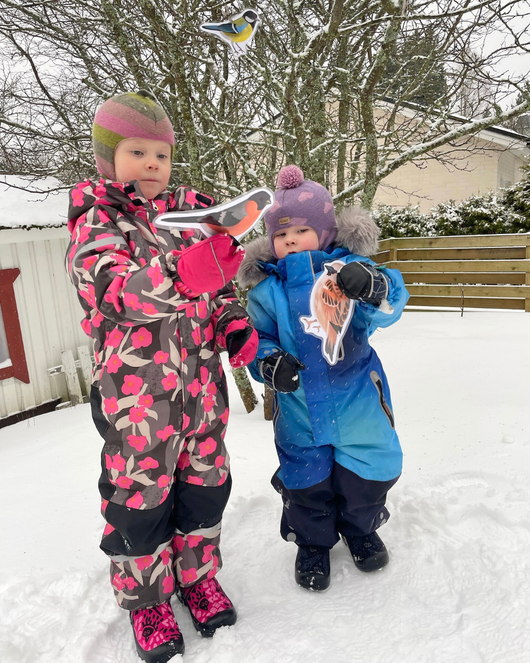 Lintulorut osa 1 (talvilintujen pihabongausta vietetään 24.–25.1.2026!)