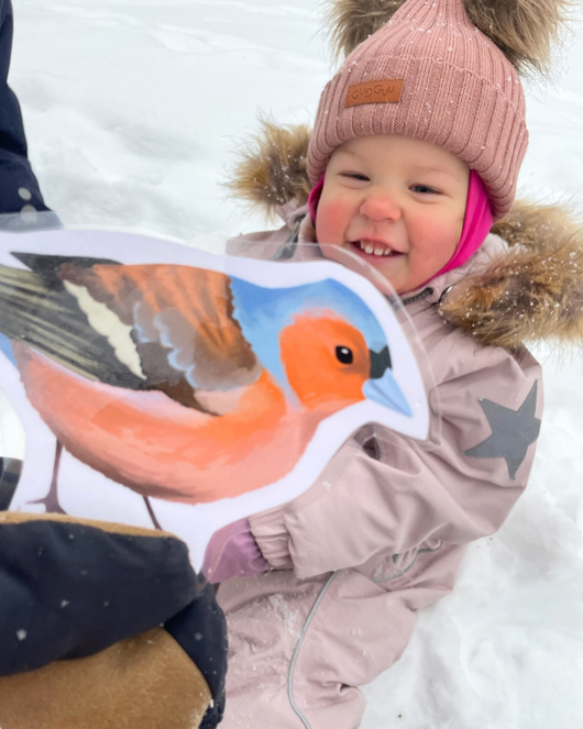 Lintulorut osa 1 (talvilintujen pihabongausta vietetään 24.–25.1.2026!)