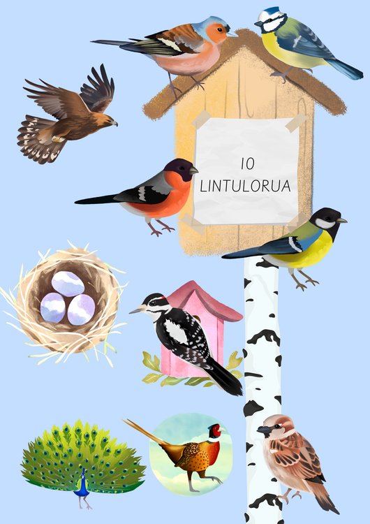 Lintulorut osa 1 (lasten lintuviikkoa vietetään 12.–18.5.2025!)
