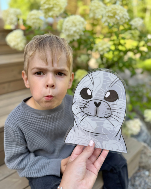 Suujumppakortit norpan kanssa 