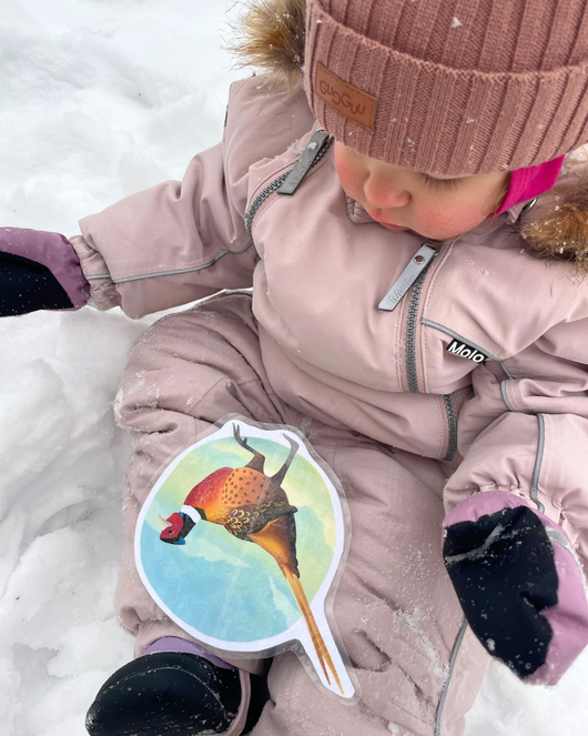 Lintulorut osa 1 (talvilintujen pihabongausta vietetään 24.–25.1.2026!)