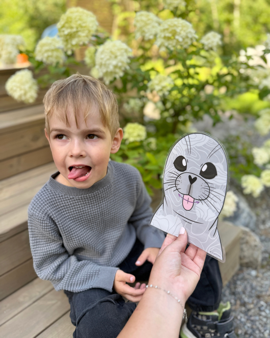 Suujumppakortit norpan kanssa 