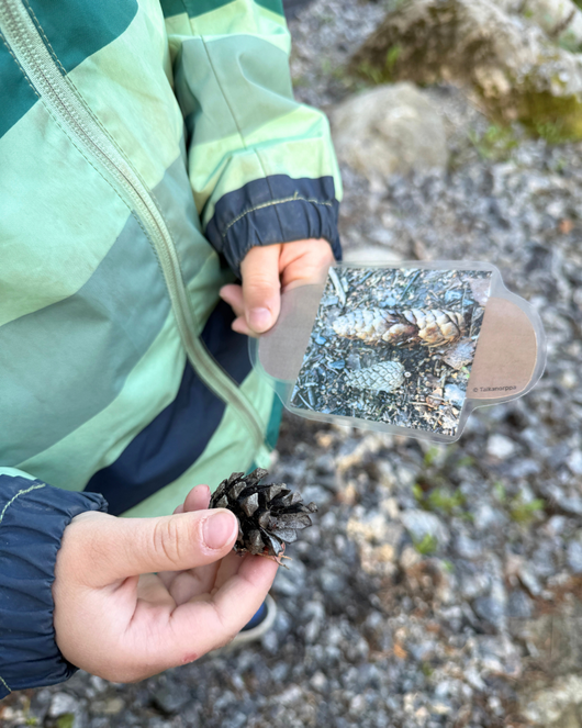 Väriliuskat luonnossa