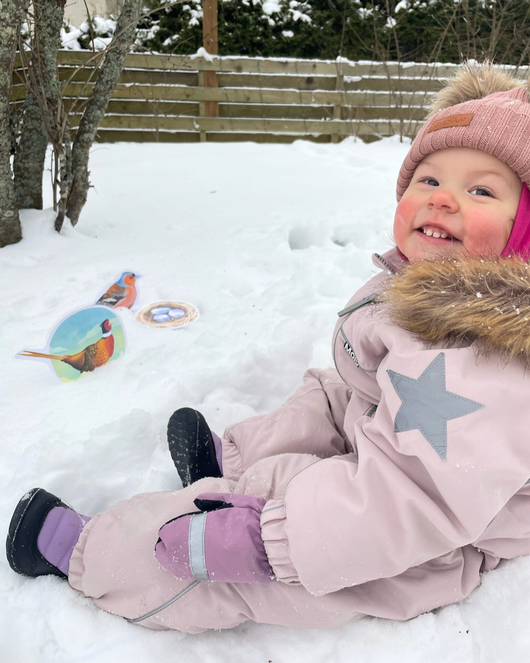 Lintulorut osa 1 (talvilintujen pihabongausta vietetään 24.–25.1.2026!)