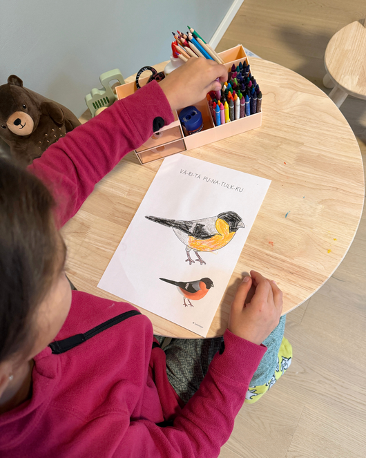 Materiaalia talvilintujen parissa (lasten pihabongaus 24.–25.1.2026)