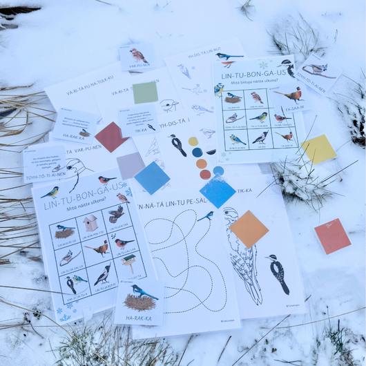 Materiaalia talvilintujen parissa (lasten pihabongaus 25.–26.1.2025)