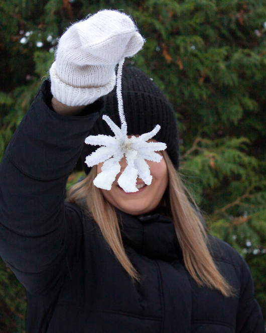 Lumiprojekti (sopii lumipäiviin 18.1.2026)