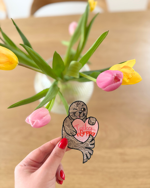 Norppa-haalarimerkki