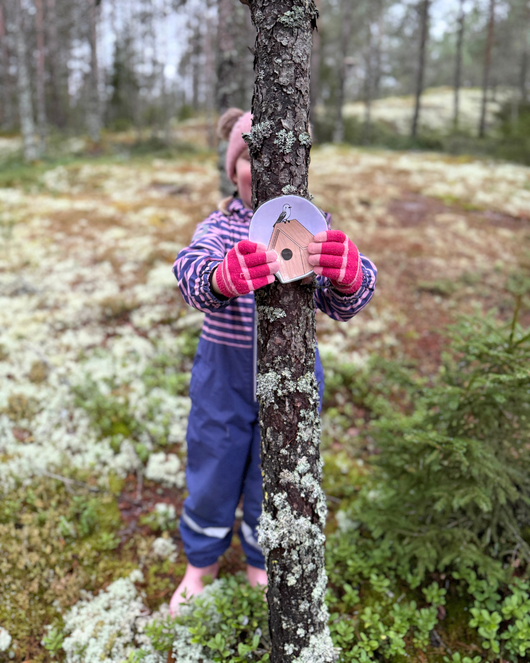 Kevätloruja lapsille