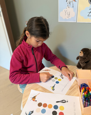 Materiaalia talvilintujen parissa (lasten pihabongaus 24.–25.1.2026)