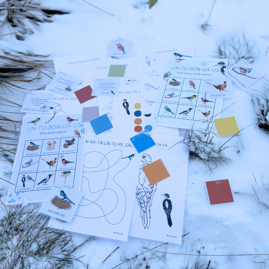 Materiaalia talvilintujen parissa (lasten pihabongaus 25.–26.1.2025)
