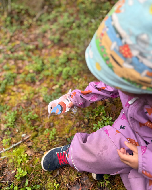 Lintulorut osa 2 (talvilintujen pihabongausta vietetään 24.–25.1.2026!)